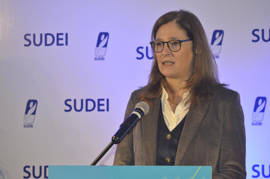 Ministra Elisa Facio Ministra Facio habla desde un atril; detrás, un banner organizacional