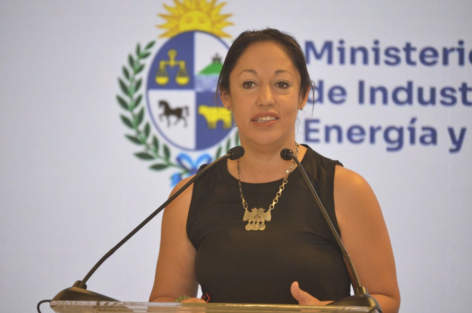 Fernanda Cardona Fernanda Cardona. Detrás pantalla blanca y logo del MIEM