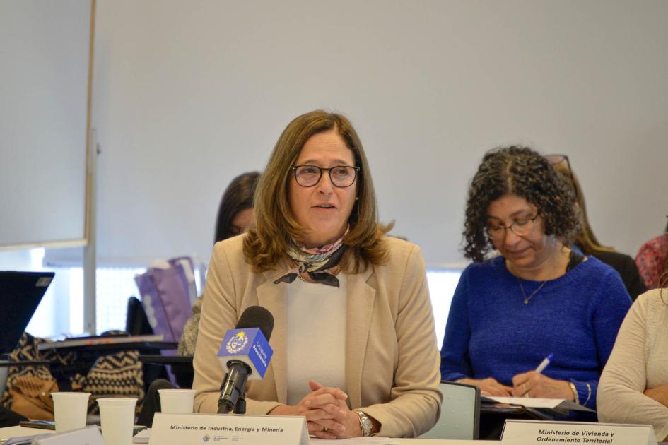 Directora general de Secretaría del MIEM, Elisa Facio Directora Fcio habla, sentada, con un micrófnoo; detrás se ve a una mujer tomando notas