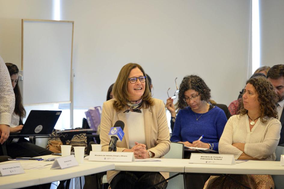 El Consejo Nacional de Género está integrado por 27 organizaciones Directora Facio habla, sentada en una mesa; hay personas a su lado y detrás