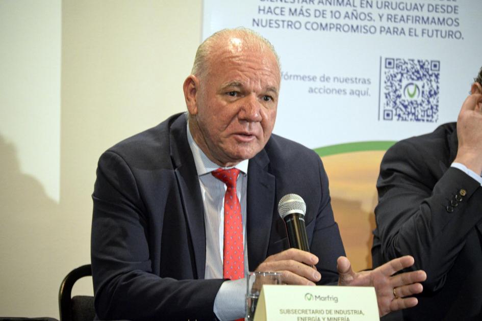 Subsecretario del MIEM, Walter Verri Habla el subsecretario del MIEM, Walter Verri; detrás, se ve el fragmento de una pantalla