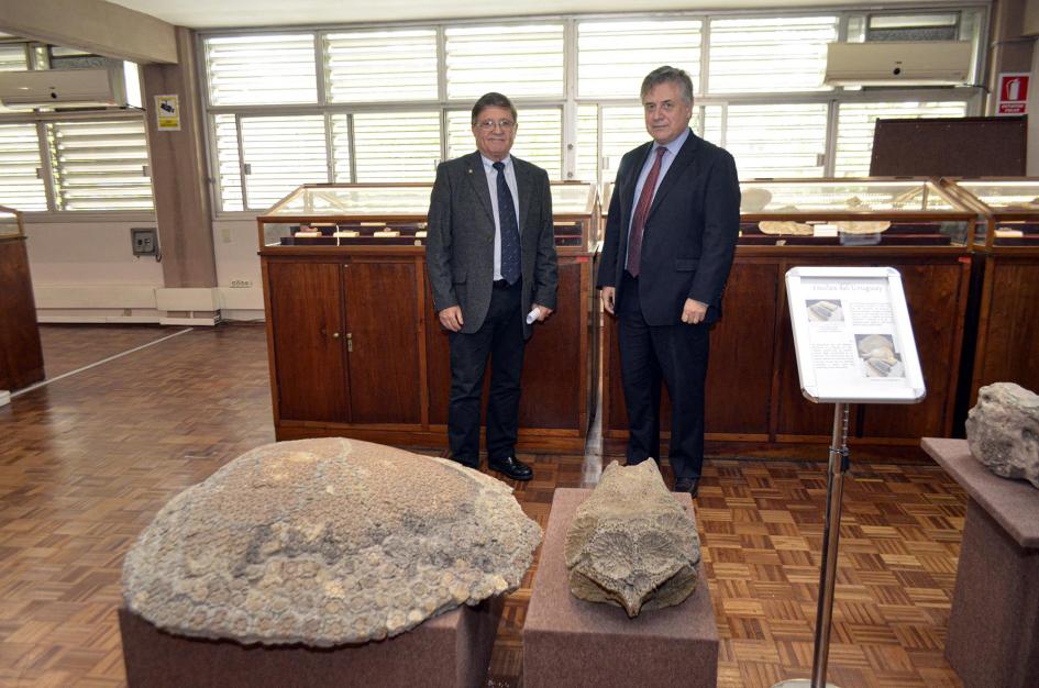Ministro Paganini y director Pugliesi en el Museo Geominero Ministro Paganini y director Pugliesi posan en el Museo Geominero; frente a ellos se ven piedras