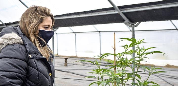 Directora Susana Pecoy junto a una planta de cannabis de Selenio Group
