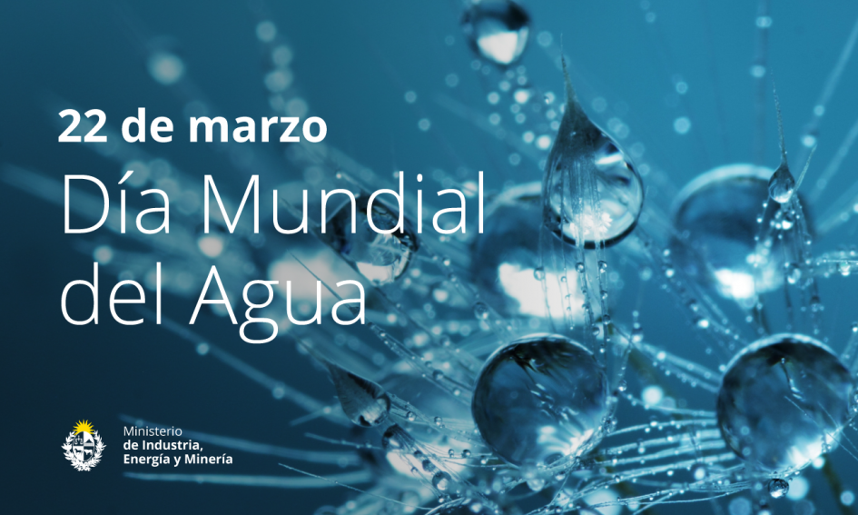 Día Mundial del Agua Imagen de gotas de agua, con el texto Día Mundial del Agua y el logo del MIEM