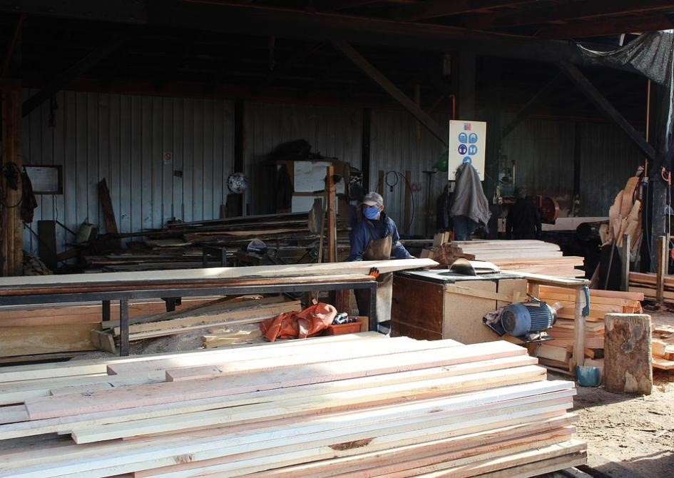 Evolución del IVF de las industrias manufactureras Planta de industria forestal-maderera