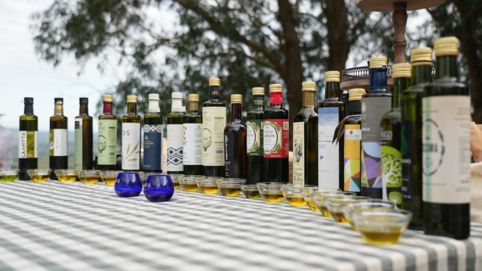 Aceites de oliva Mesa con botellas de aceite de oliva