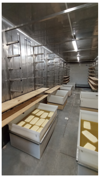 Cámara de frío con quesos