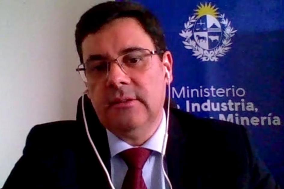 Director Nacional de Energía, Fitzgerald Cantero