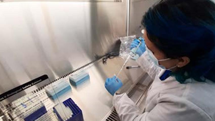 Un bioquímico del Laboratorio de Biología Molecular utilizando equipo donado por el OIEA. Un bioquímico del Laboratorio de Biología Molecular utilizando equipo donado por el OIEA.
