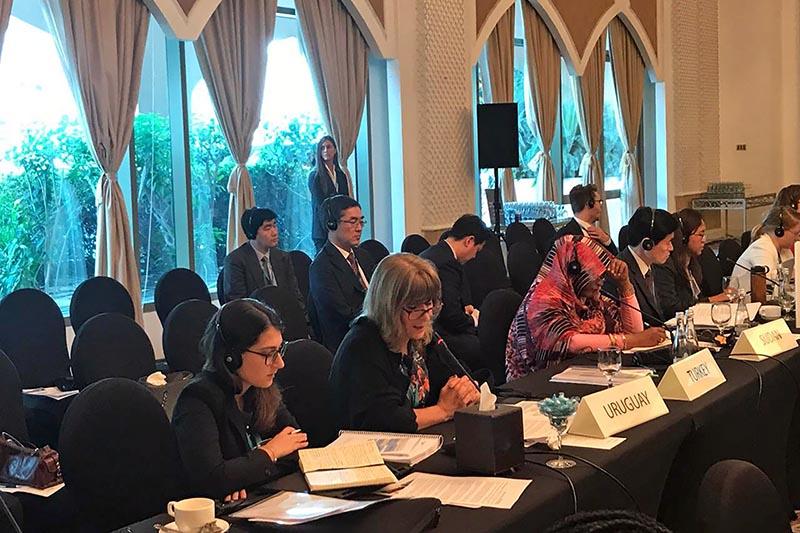 XVI consejo de Dirección de IRENA XVI consejo de Dirección de IRENA