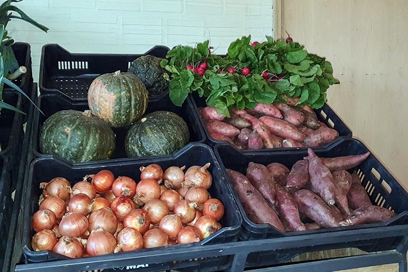 Frutas Mercado Agrícola Familiar Frutas Mercado Agrícola Familiar
