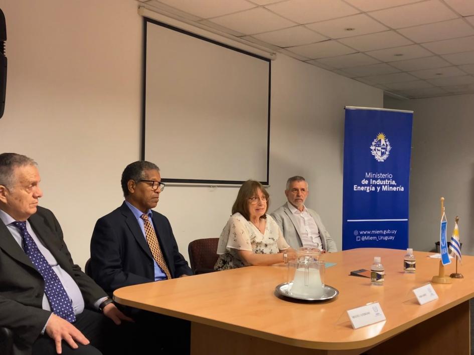 Expertos, coordinadora y director de la ARNR, Gabriel González Mesa en la que hay dos mujeres y dos hombres; al lado, un banner del MIEM