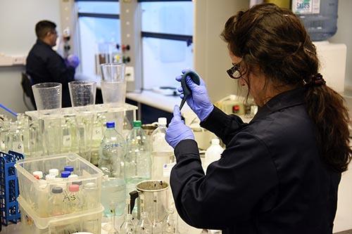 Mesa Interinstitucional de Mujeres en Ciencia, Tecnología e Innovación promueve acciones Mesa Interinstitucional de Mujeres en Ciencia, Tecnología e Innovación promueve acciones