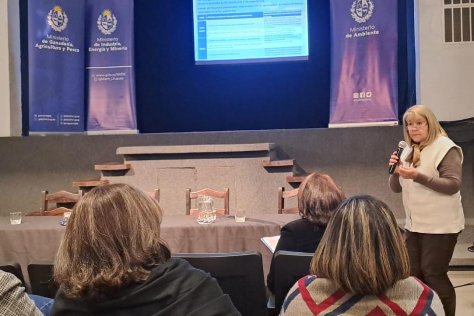 Laura Lacuague, representante del MIEM, habló sobre proyectos de la IRN ante el público Una mujer habla, de pie y con un micrófono, ante público que se ve de espaldas; detrás, un escenario
