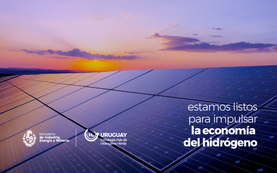 Paneles solares con gráfica