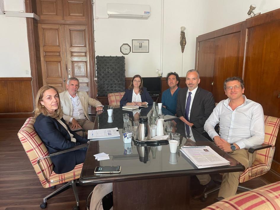 Expertos y director ARNR, junto a la ministra de Salud Pública, Karina Rando Personas reunidas alrededor de una mesa