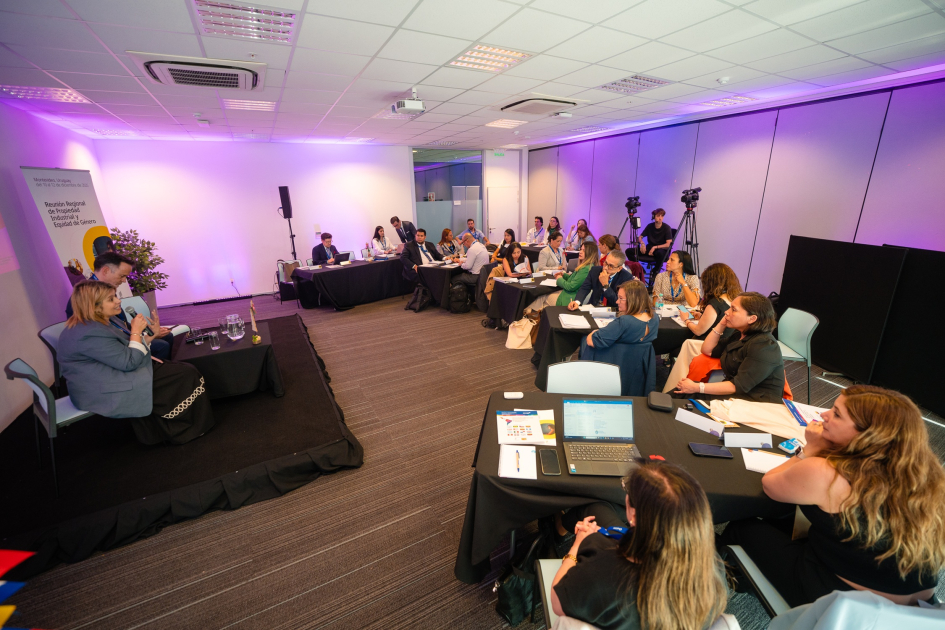 Reunión Regional sobre Propiedad Industrial y Equidad Género. Foto: Nicolás Núñez personas sentadas en mesas de trabajo