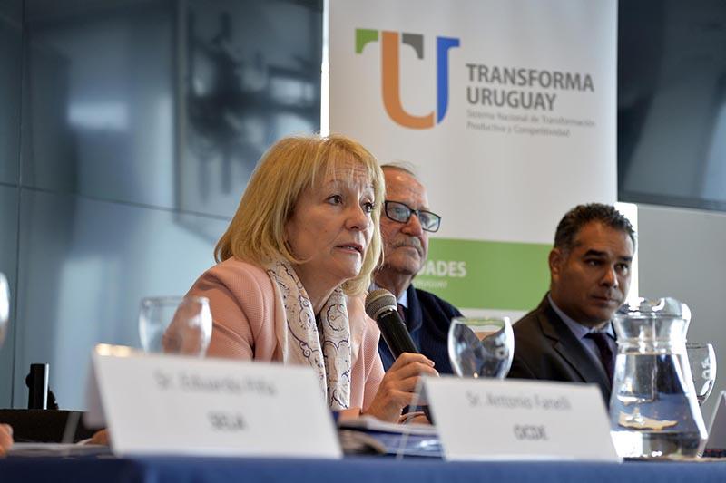 Ministra Cosse en Taller de OCDE Ministra Cosse en Taller de OCDE