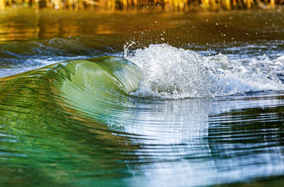 La charla se enfocará en el potencial de la energía undimotriz Olas marinas