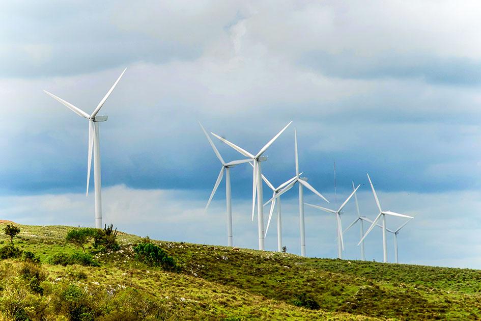 Energías renovables Molinos de viento sobre una colina