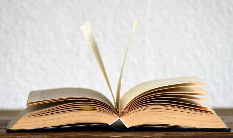 En la nueva guía, los usuarios conocen los criterios de decisión de temas de competencia de DNPI Libro que se abre