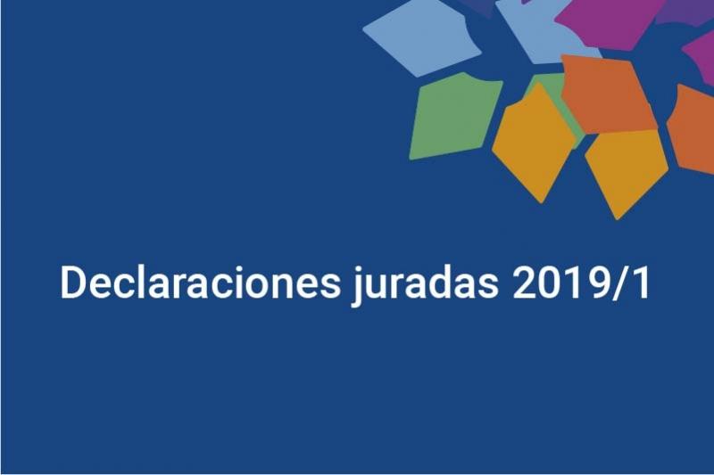 Declaraciones juradas 2019/1 Declaraciones juradas 2019/1