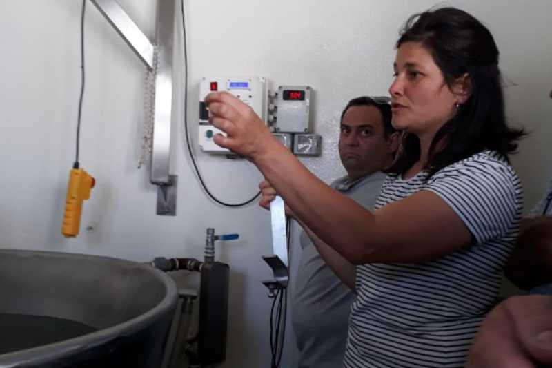 Calentamiento de agua y automatismo en quesería artesanal