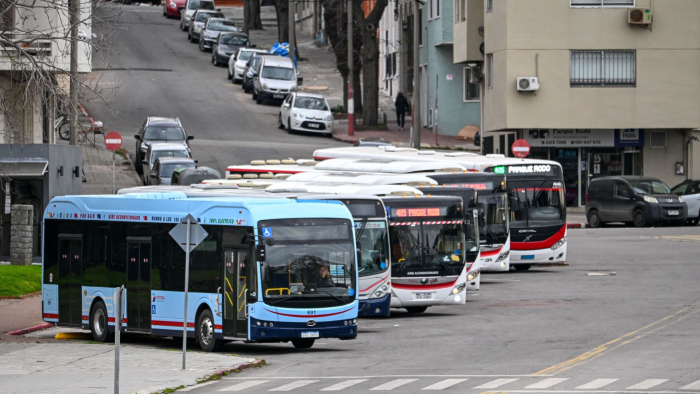 El BEN 2025 muestra un aumento en el consumo eléctrico del sector del transporte Ómnibus alineados en la calle