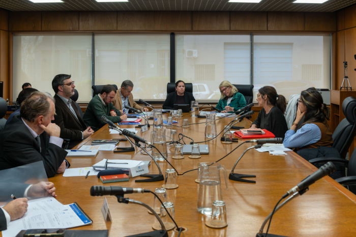 Comisión de Innovación Mesa del Parlamento con los/as Diputados/as y las miembros de la UPI