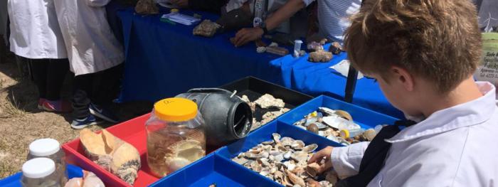 Ingeniería de Muestra en Rocha