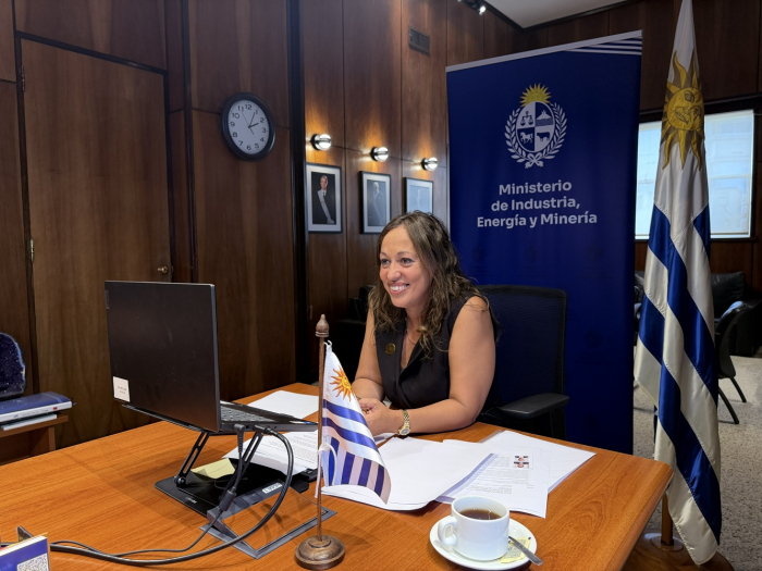 Reunión con secretario de Estado alemán Ministra Cradona sentada en una mesa, detrás un banner del ministerio