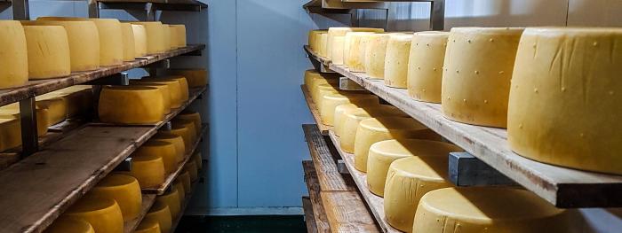 Producción artesanal de quesos