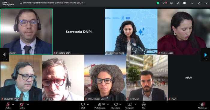 Webinar DNPI-INAPI Imágenes de nueve participantes del webinar