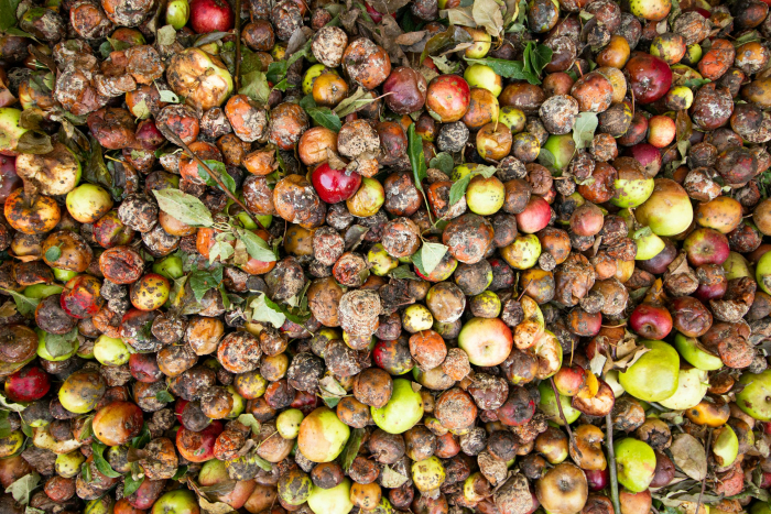 Residuos del sector alimentos