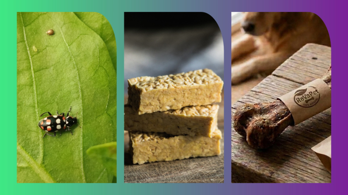 Collage de tres fotos: insecto en una hoja, tempeh y alimento para mascotas