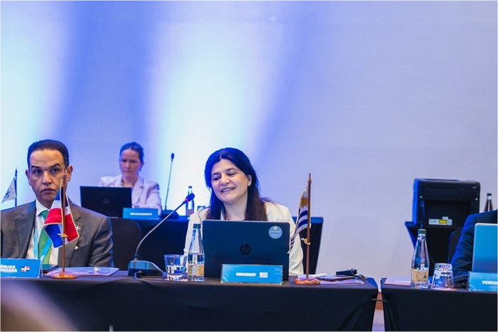 Directora de Energía en mesa de diálogo