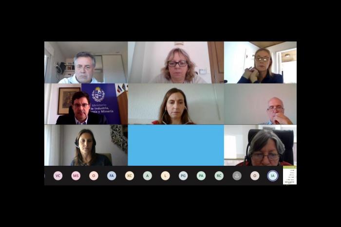 Participantes en evento virtual coorganizado por MIEM-DNE y OLADE