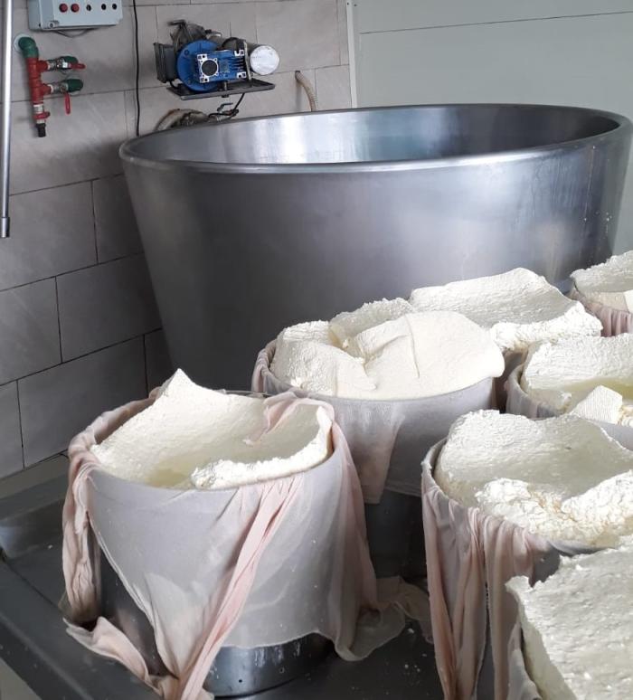 El plan piloto de seguridad y salud en el trabajo en las industrias lácteas contó con apoyo del MIEM Diversos recipientes utilizados en la industria