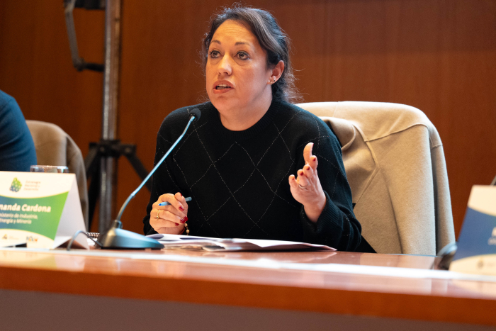 Ministra Fernanda Cardona. (Foto: Manuel Tort, Presidencia). Cardona habla, sentada en una mesa