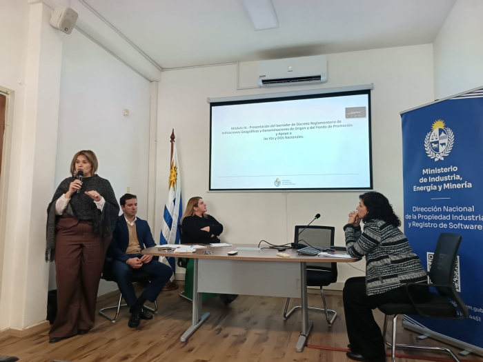 Una mujer parada habla y tres personas están sentadas detrás de una mesa