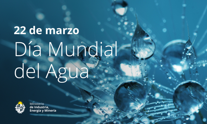 Imagen de gotas de agua, con el texto Día Mundial del Agua y el logo del MIEM