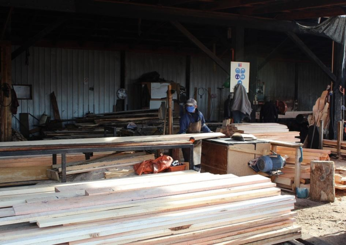 Evolución del IVF de las industrias manufactureras Planta de industria forestal-maderera