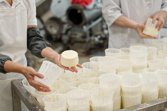 Mypes y unidades de producción familiar agropecuaria se postularon para Transforma Territorio Manos de personas trabajan con recipientes con productos lácteos