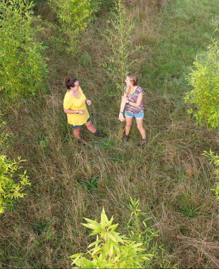 images de afiche preestreno tacuaras dos chicas mirándose en el centro de un campo rodeado de tacuaras