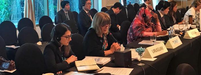 XVI consejo de Dirección de IRENA 