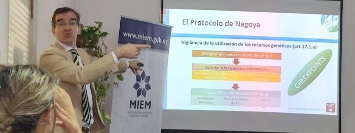 Taller Proyecto de Nagoya