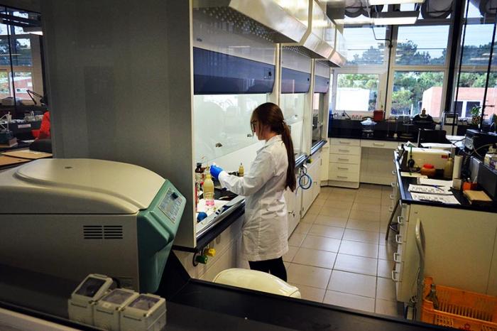 Imagen de laboratorio