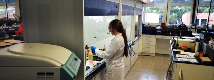 Laboratorio