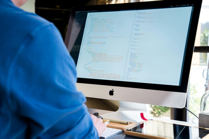 Búsqueda base de datos WIPO DAS persona frente a monitor de computadora