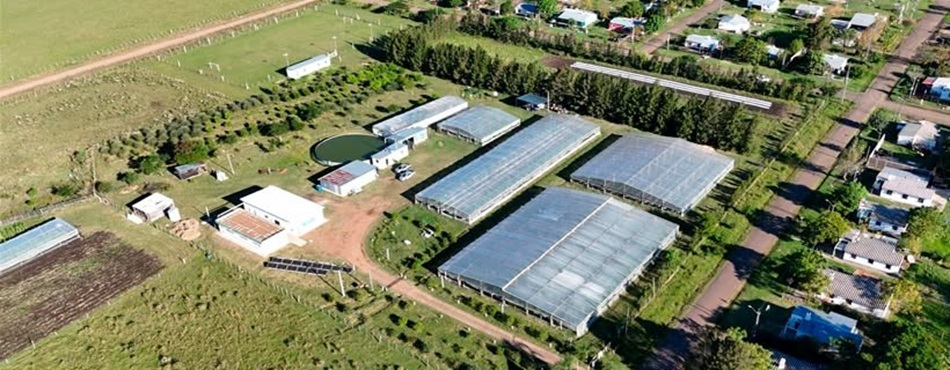 Vista aérea de un campo con edificaciones